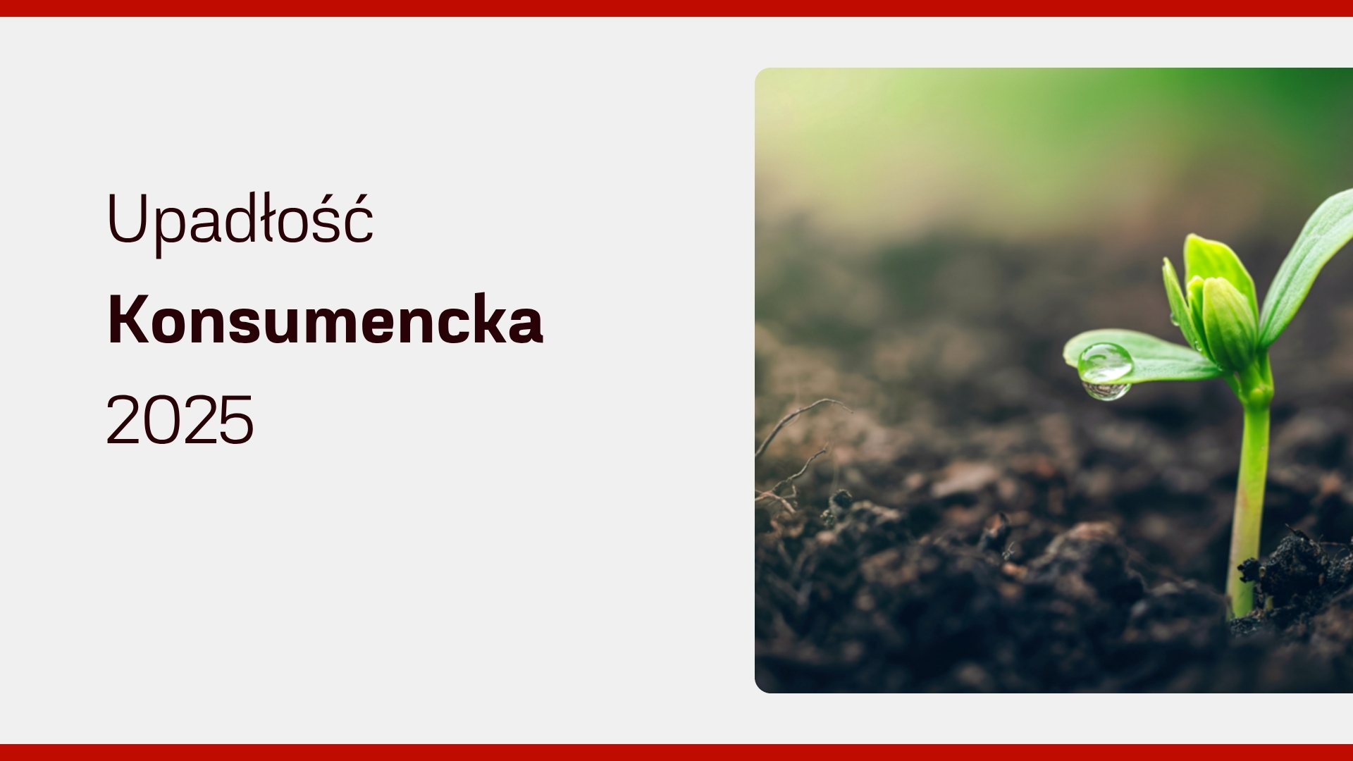 Upadłość Konsumencka 2026